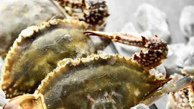 🦀 놓치면 후회! 선물용 냉동 꽃게 특가 후기 & 꿀팁 대방출 🦀