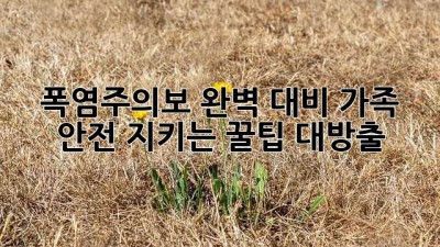 🥵 폭염주의보🚨 완벽 대비! 가족 안전 지키는 꿀팁 대방출 🏡